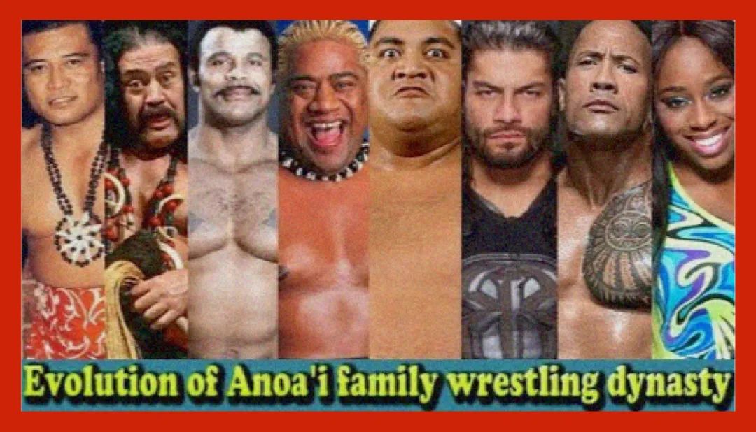 能打过萨摩耶的狗狗,能打过俄罗斯的国家有哪些