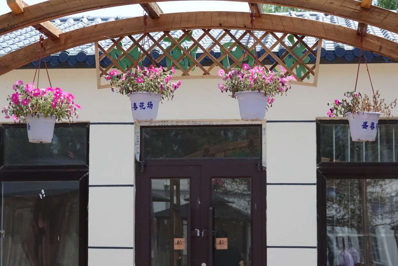 百花绽放风景秀丽,花田小镇风景区