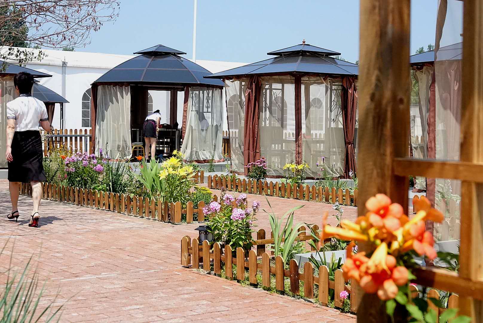 百花绽放风景秀丽,花田小镇风景区