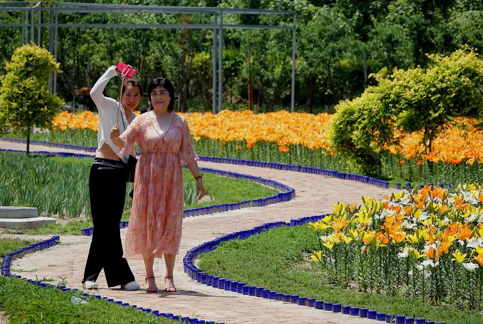 百花绽放风景秀丽,花田小镇风景区