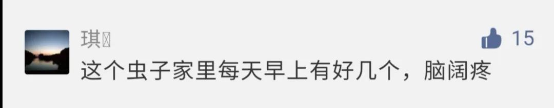 虫子入侵,外星怪虫入侵