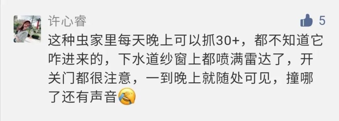 虫子入侵,外星怪虫入侵