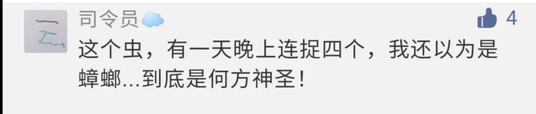 虫子入侵,外星怪虫入侵