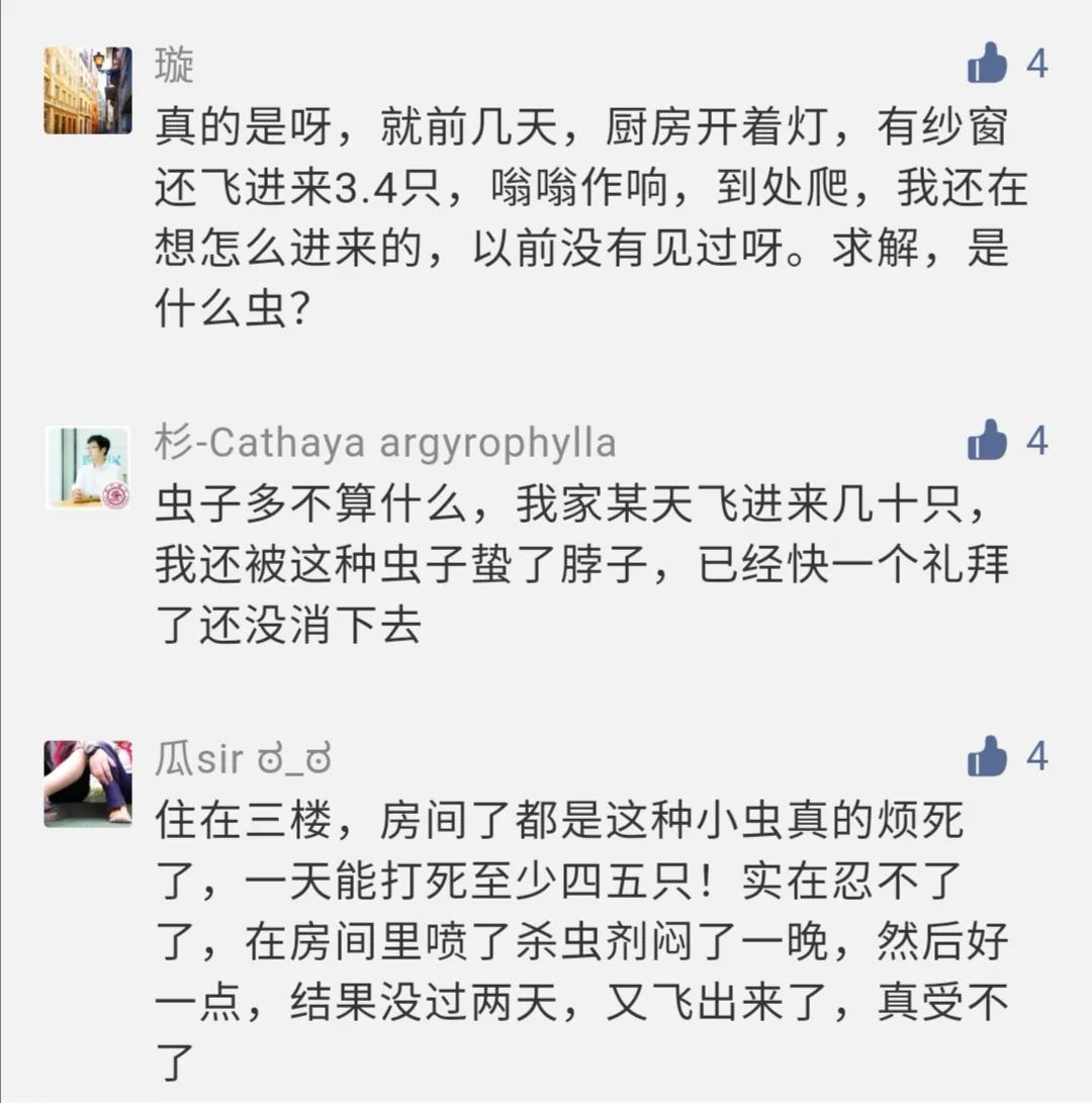 虫子入侵,外星怪虫入侵