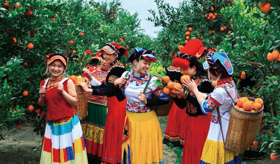 打卡百米观光电梯大美山色尽收眼底~