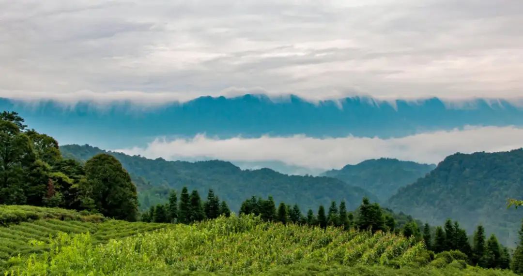 打卡百米观光电梯大美山色尽收眼底~