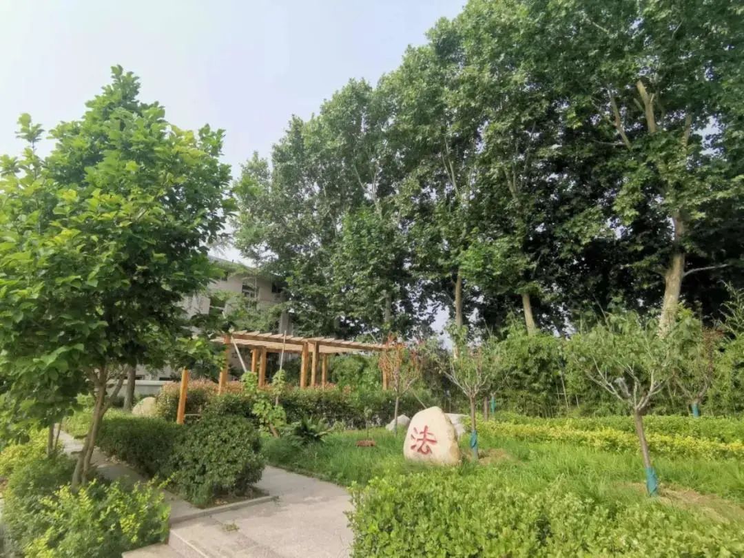 如此豪横,如此豪横代表什么