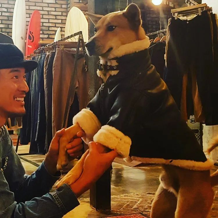 权志龙的家人怎么看权志龙,权志龙的家庭条件