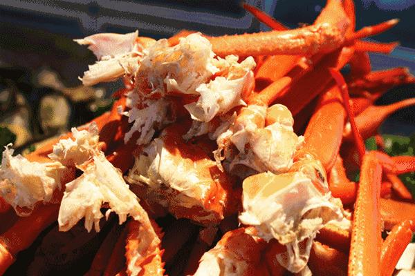 桐庐通天河游船,好消息扬帆计划