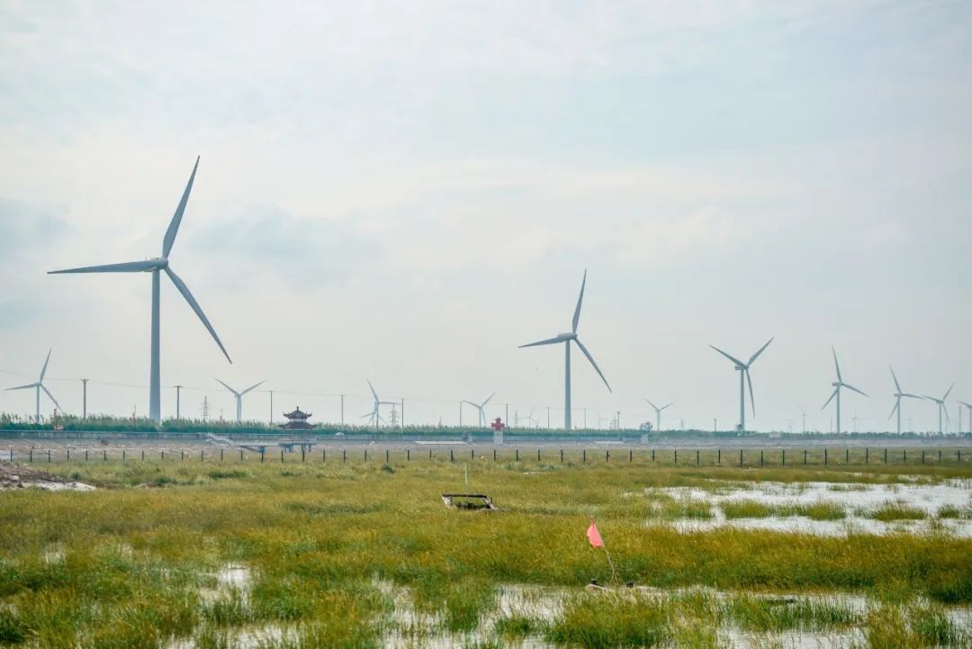 毕业旅行去哪玩？南通这里有海天无垠，有青山峥嵘，有园林秀丽，今夏必来