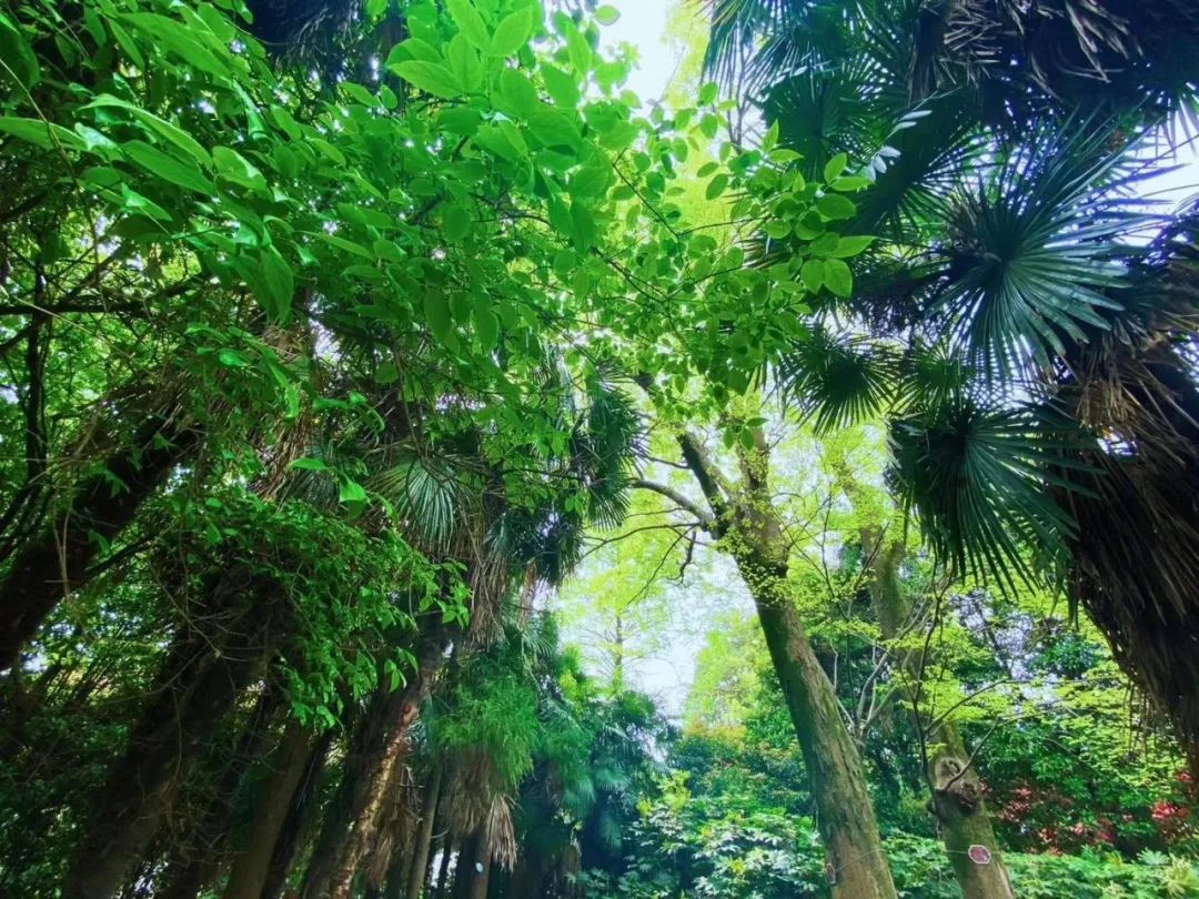 毕业旅行去哪玩？南通这里有海天无垠，有青山峥嵘，有园林秀丽，今夏必来