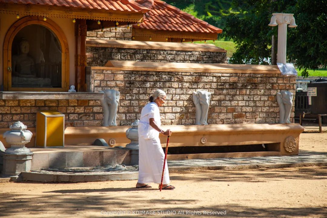 大西北旅行相机推荐,适合旅游的十部相机