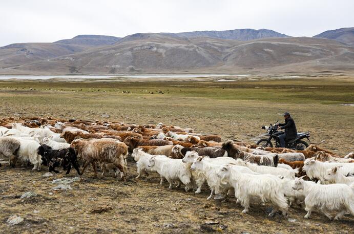 从马车到火车到高铁的进化史,从邮驿到邮局发展历史