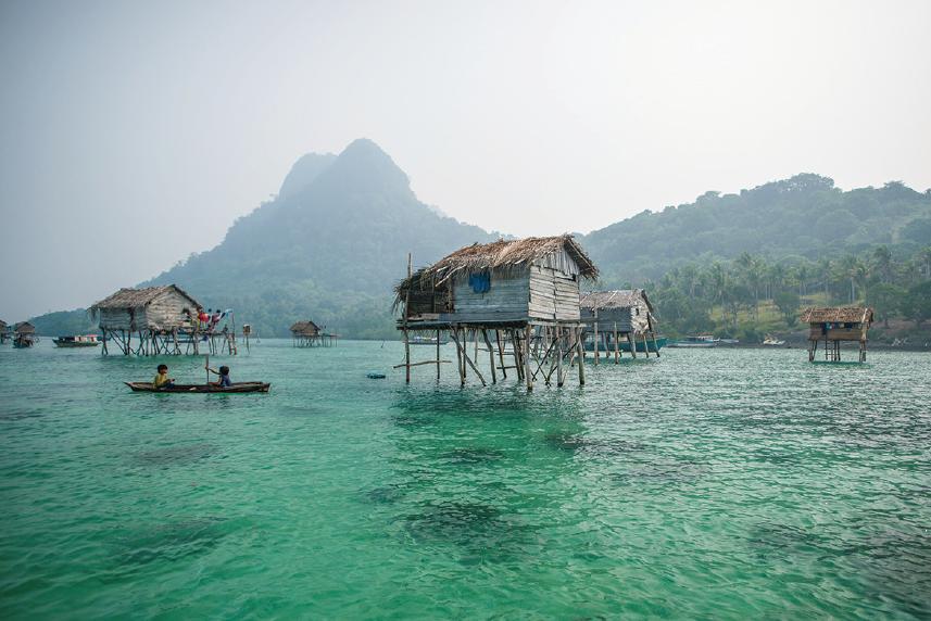 荐书|800米外认脸,5分钟深海潜水……现实中的“X战警”,能量超乎你的想象