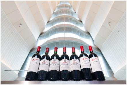 Penfolds奔富Bin389诞生六十周年珍稀年份垂直品鉴惊喜开启