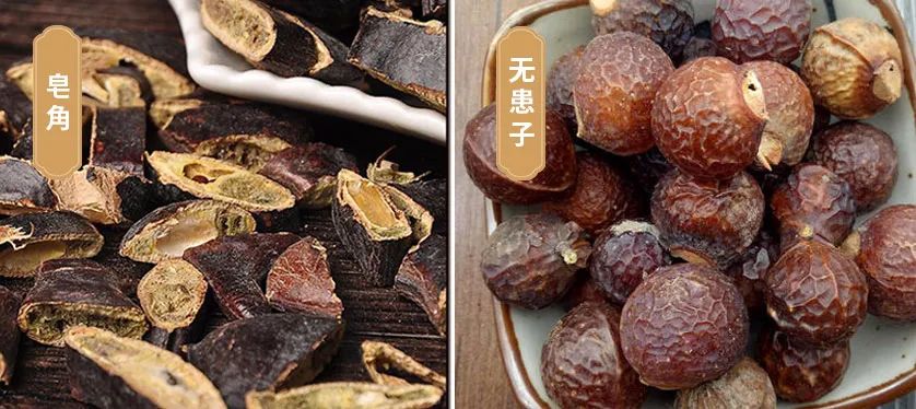 7天挑战无头屑,挑战5天不洗头依旧蓬松不油头