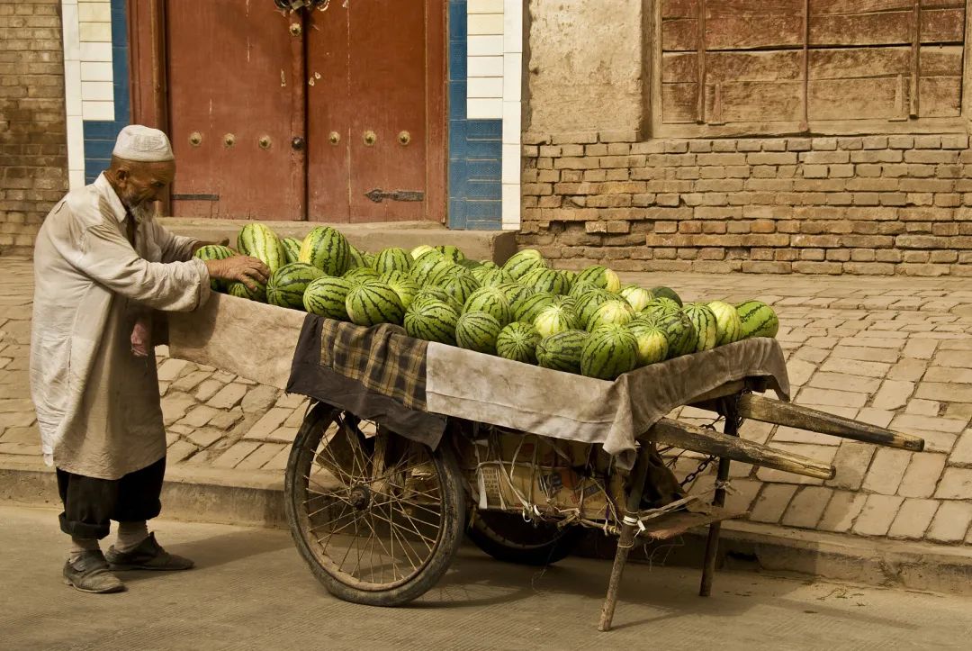 西瓜水果的形态,四倍体西瓜长什么样