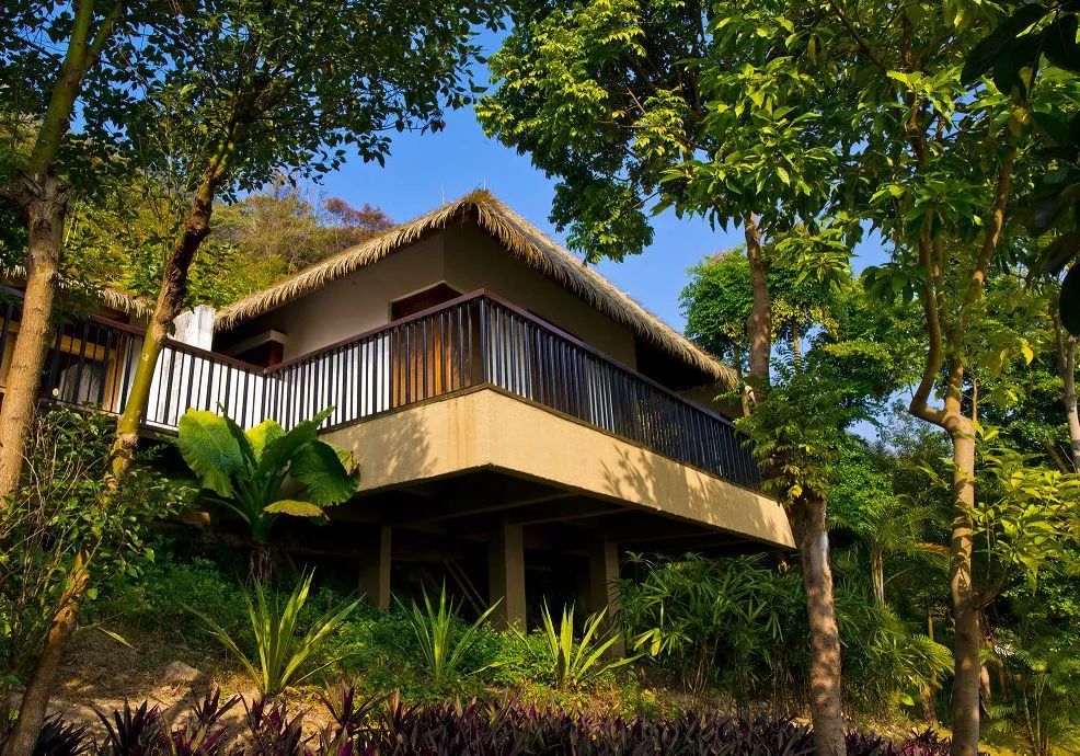 广州增城碧桂园金叶子温泉团购,增城嘉华温泉和三英温泉哪个好