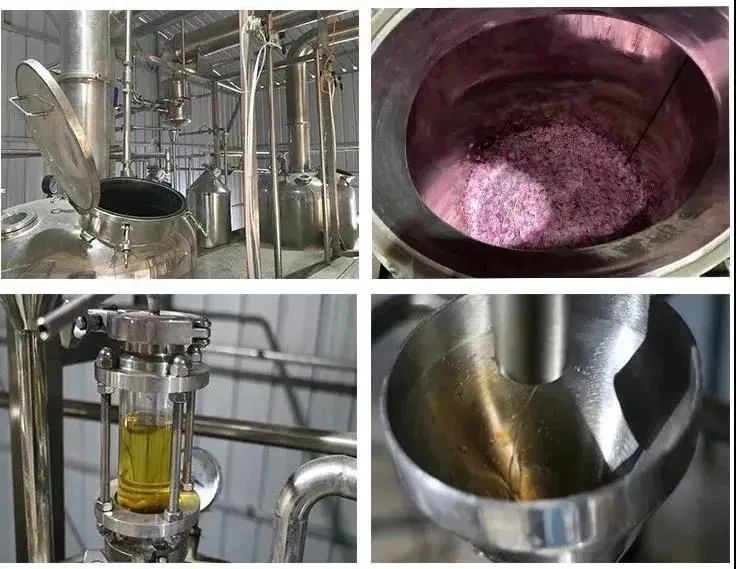 医护人员把这种鲜花当面膜，皮肤白嫩得让男人受不了，到底有多神奇？