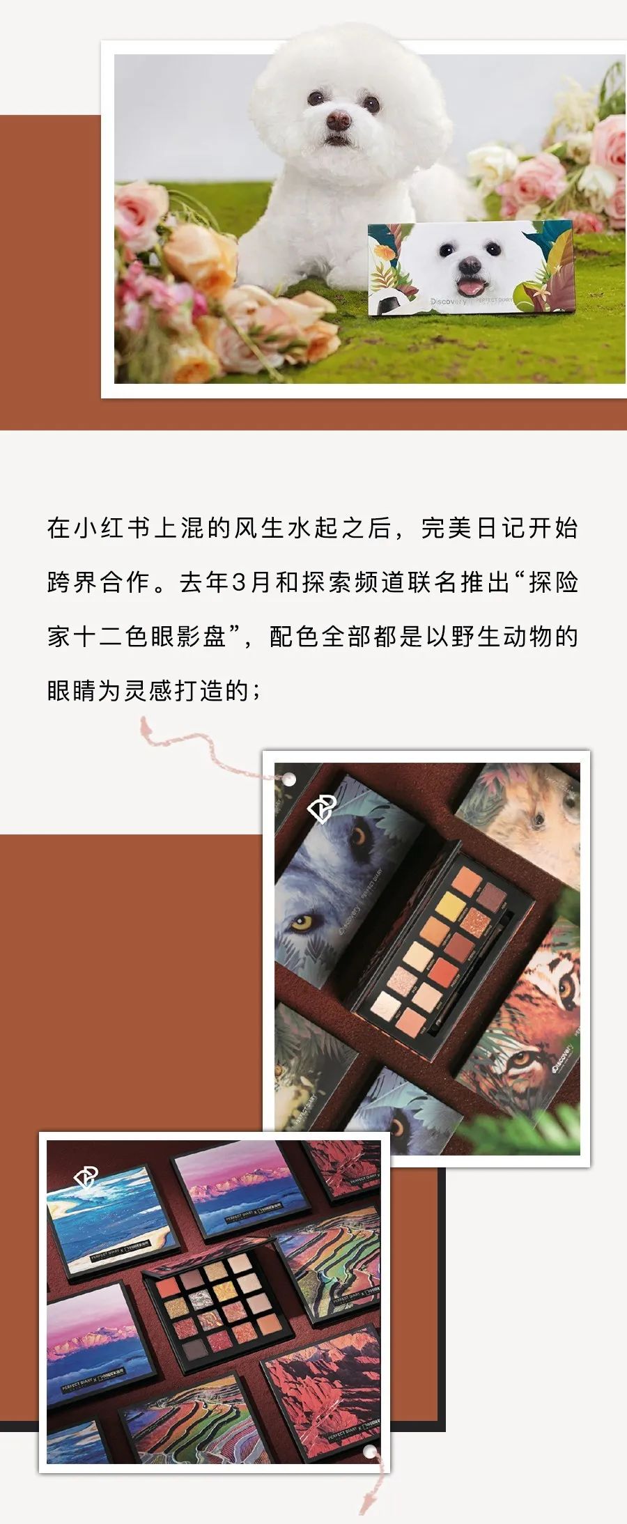 毛戈平的粉霜和唐毅的哪个好,毛戈平和唐毅的品牌哪个好