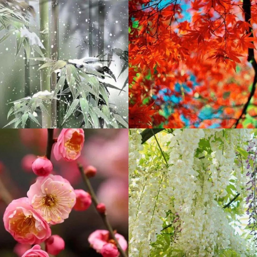 日本江户时代古典和服,日本和服演变动画