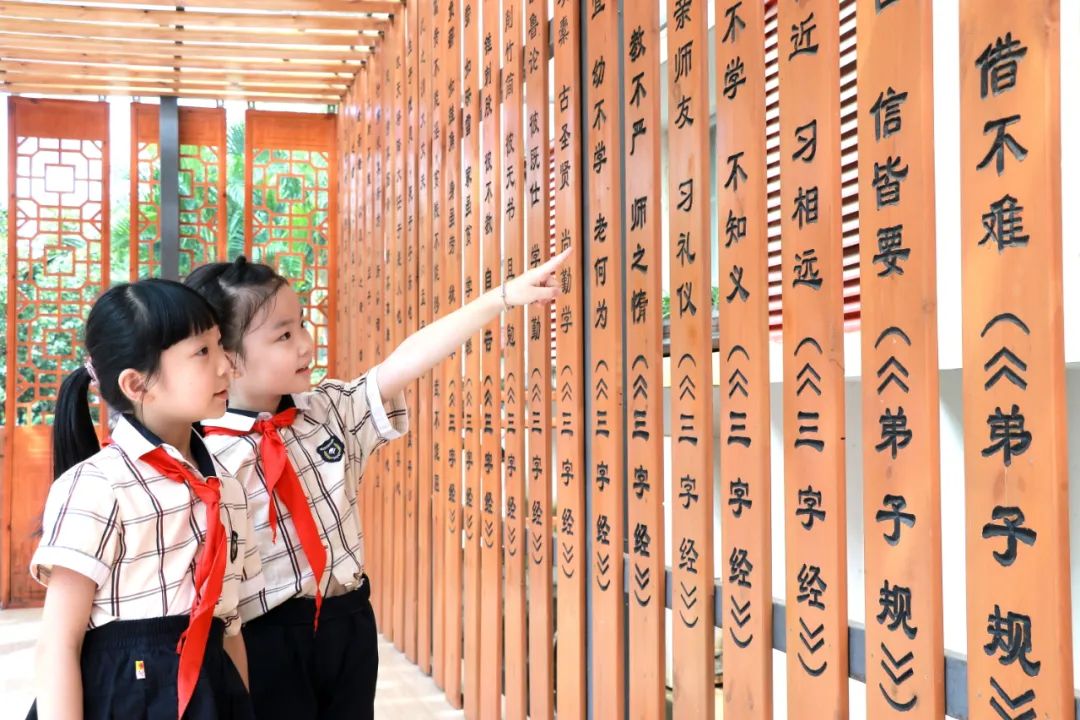 柳沙学校南宁,南宁柳沙学校在哪里