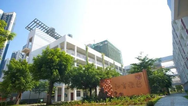 柳沙学校南宁,南宁柳沙学校在哪里