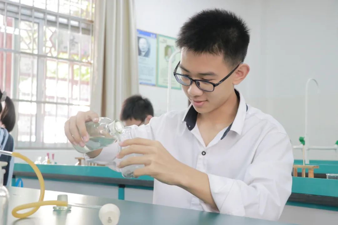 柳沙学校南宁,南宁柳沙学校在哪里