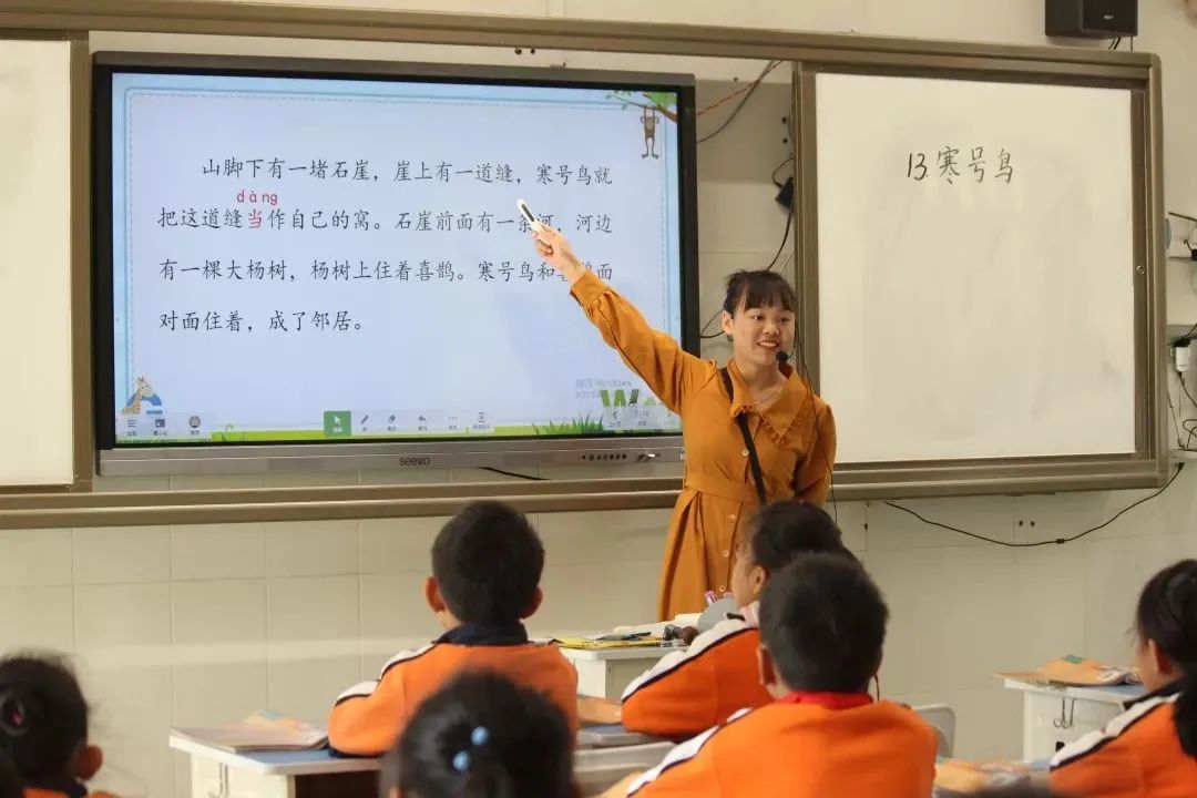柳沙学校南宁,南宁柳沙学校在哪里