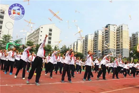 柳沙学校南宁,南宁柳沙学校在哪里