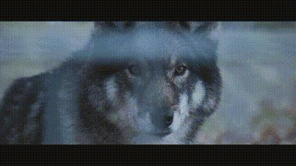 对付恋童癖，只能阉割吗？