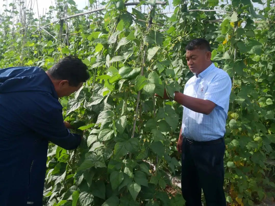 “领头羊”张立：“四十烂店”到“贺兰第一村”