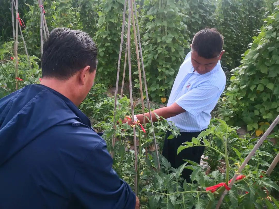 “领头羊”张立：“四十烂店”到“贺兰第一村”