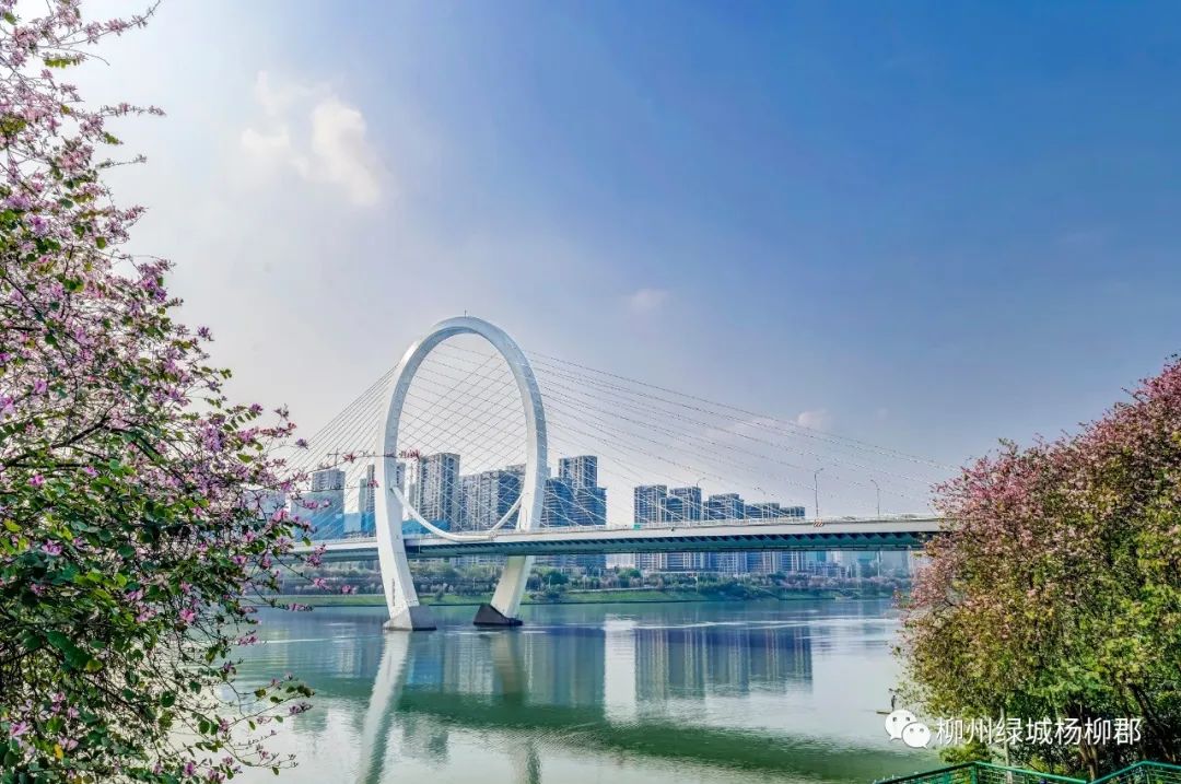 杭州绿城杨柳郡到底有多复杂,绿城杨柳郡属于哪个档次