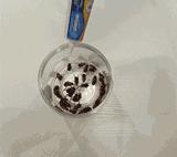 让蟑螂来一只死一窝的方法,蟑螂克星蟑螂窝