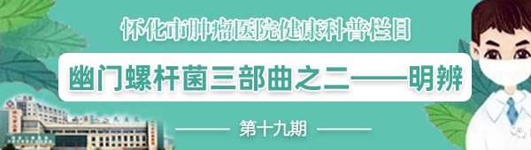 幽门螺旋杆菌治疗健康科普手册,消化内科幽门螺杆菌科普