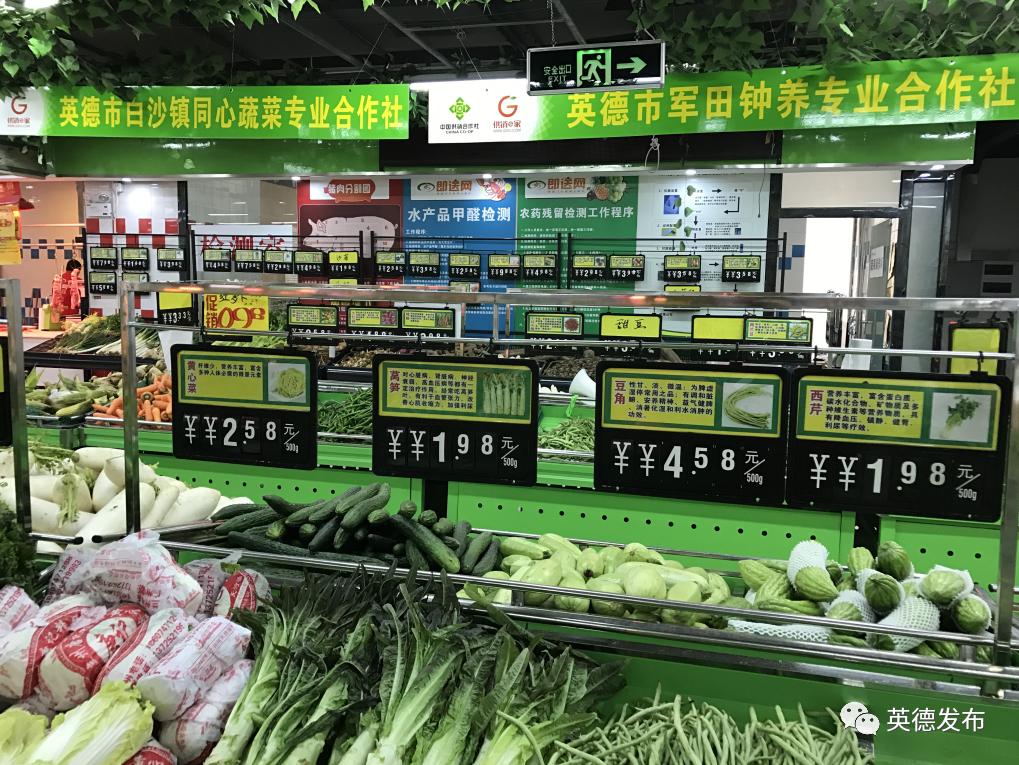 走向我们的小康生活南宁,走向我们的小康生活乡村见闻