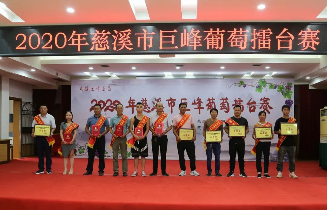 慈溪巨峰葡萄哪家强？这些农场和合作社获奖啦