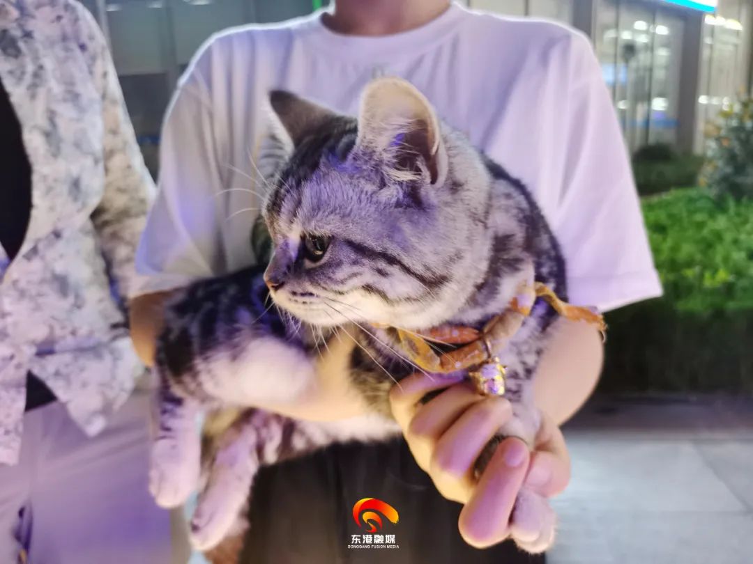 再添一处夜市！东港夜夜夜夜精彩！