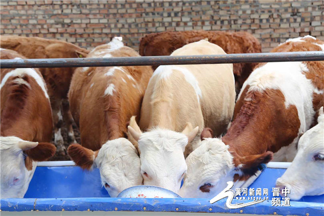 山西变身记,山西煤炭变身记