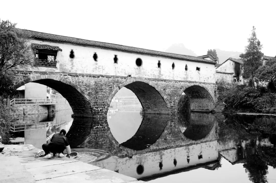 江南大桥邹逸麟,邹逸麟