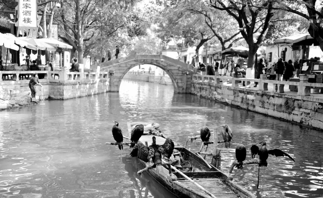 江南大桥邹逸麟,邹逸麟