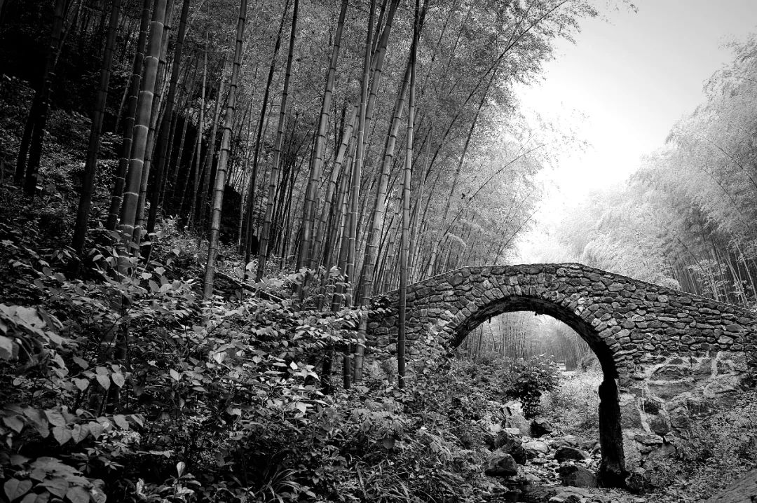 江南大桥邹逸麟,邹逸麟