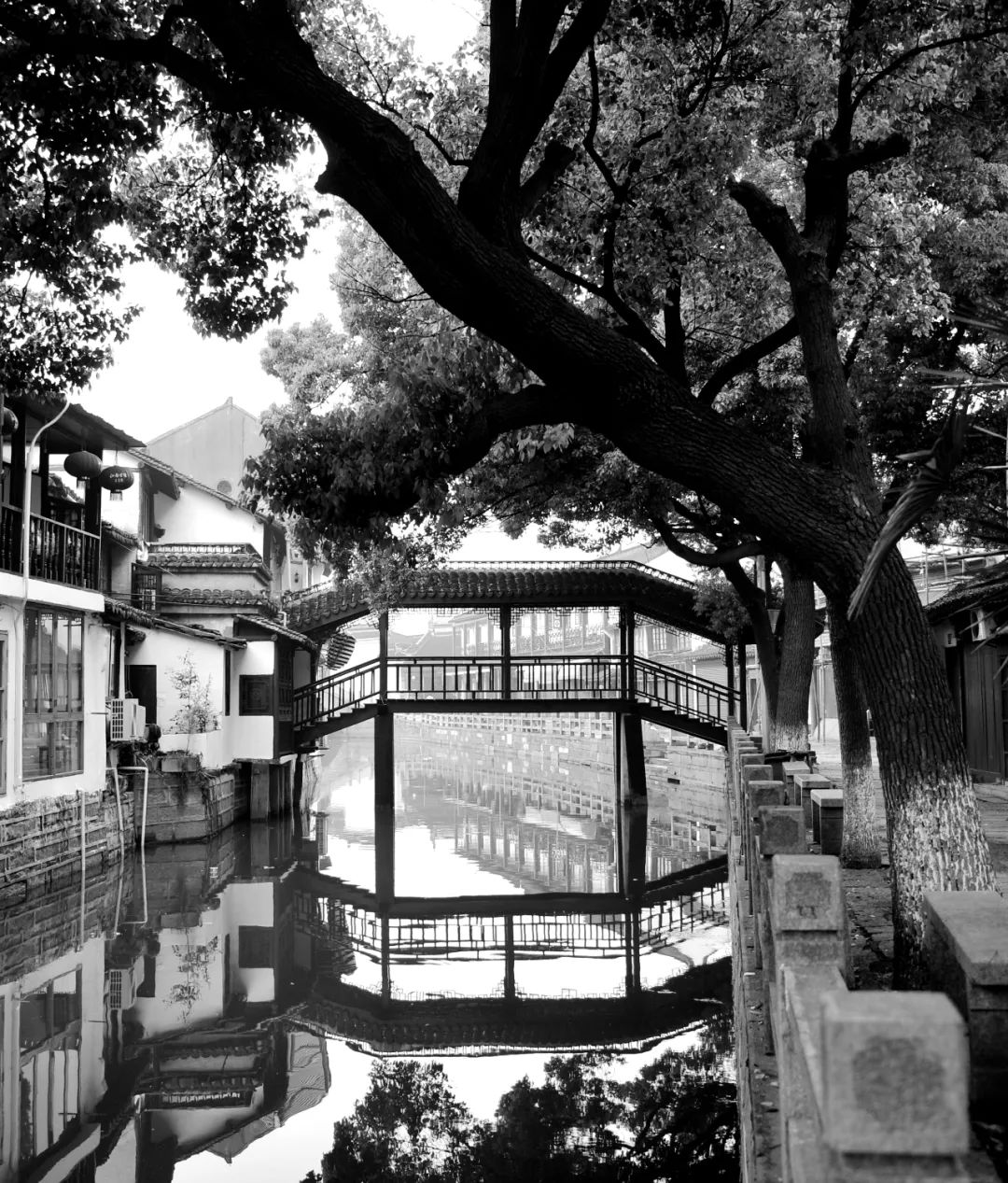 江南大桥邹逸麟,邹逸麟