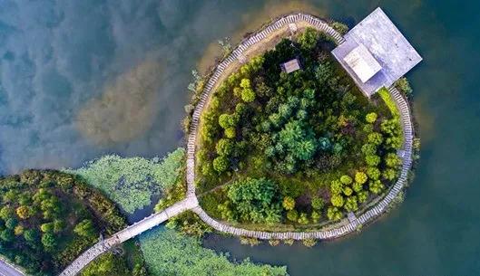 宫崎骏眼中的夏天图片,宫崎骏眼里的夏天滤镜