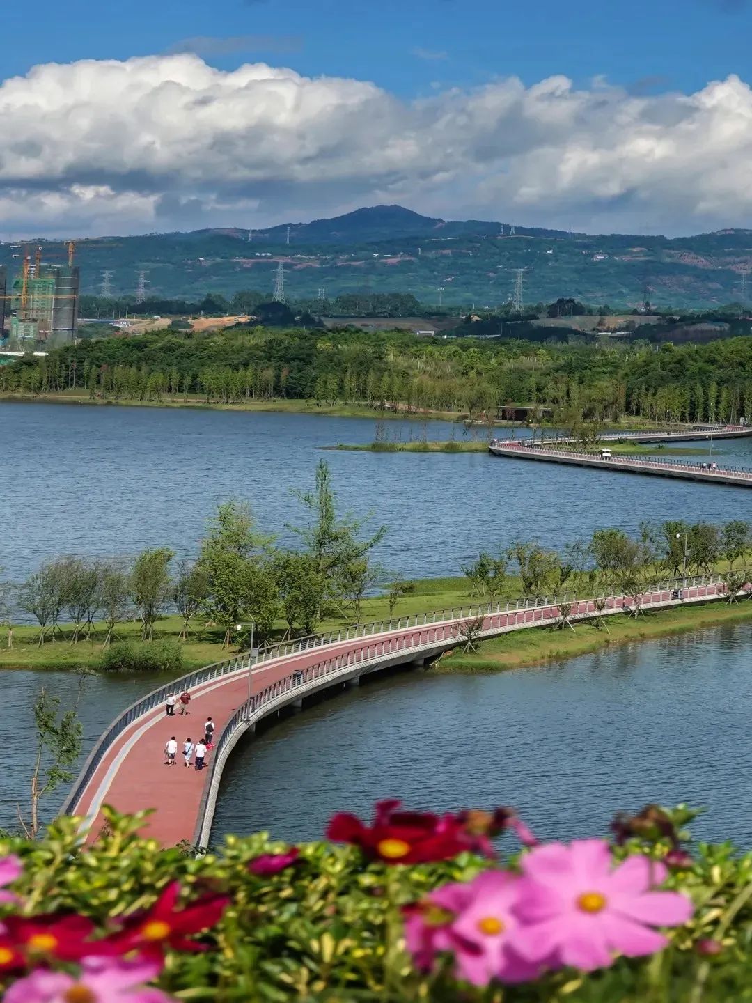 成都拍了拍你，一亿成都粉get心动讯息