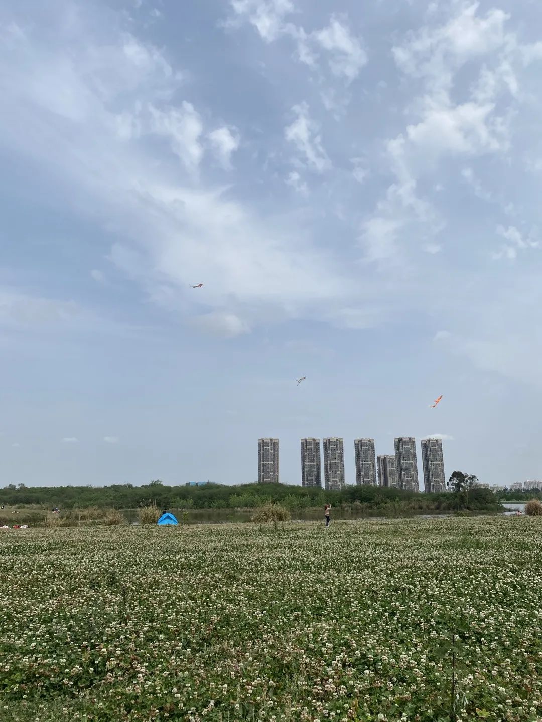 成都拍了拍你，一亿成都粉get心动讯息