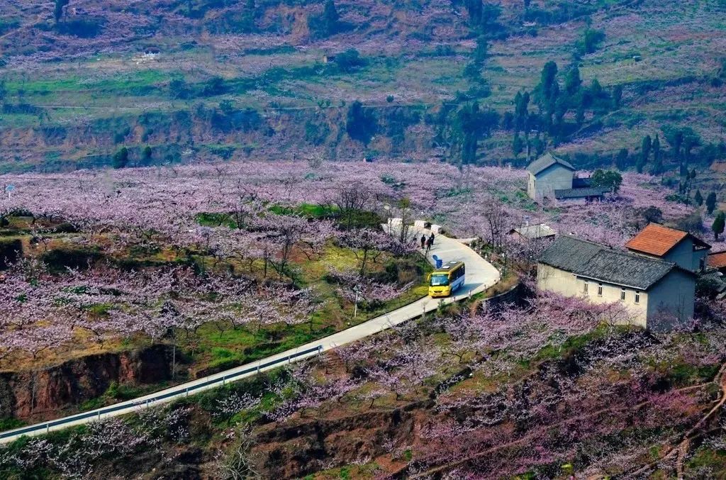 成都拍了拍你，一亿成都粉get心动讯息