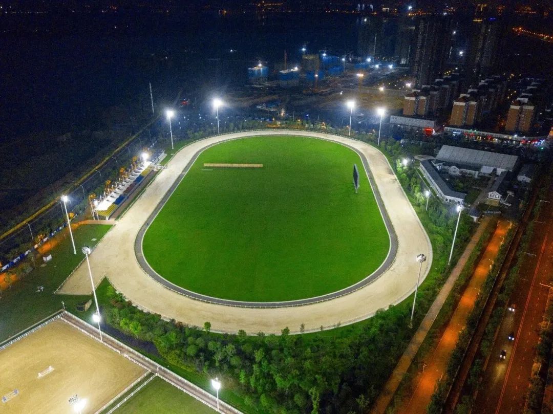 你好这里是成都翻译英文,你知道武汉商学院么