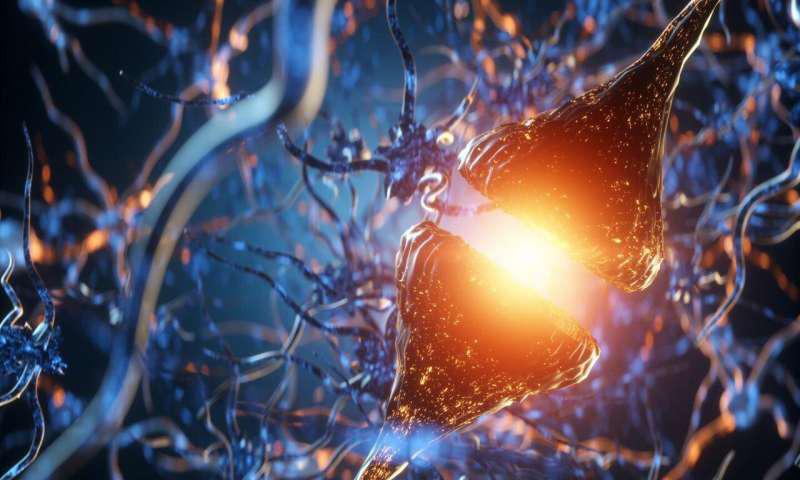 新发现有望治疗阿尔茨海默病,医学新发现日本